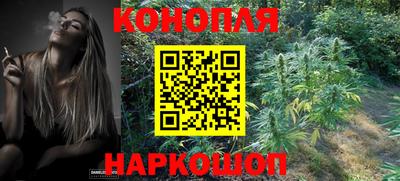мет Новодвинск