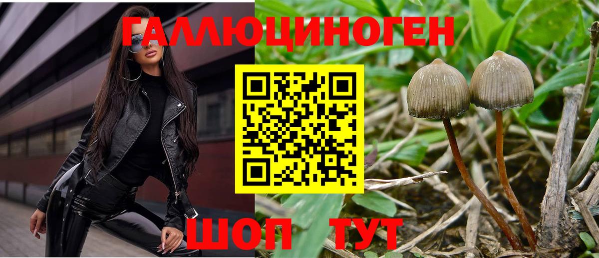 Родники  Галлюциногенные грибы MAGIC MUSHROOMS  Вход с VPN 